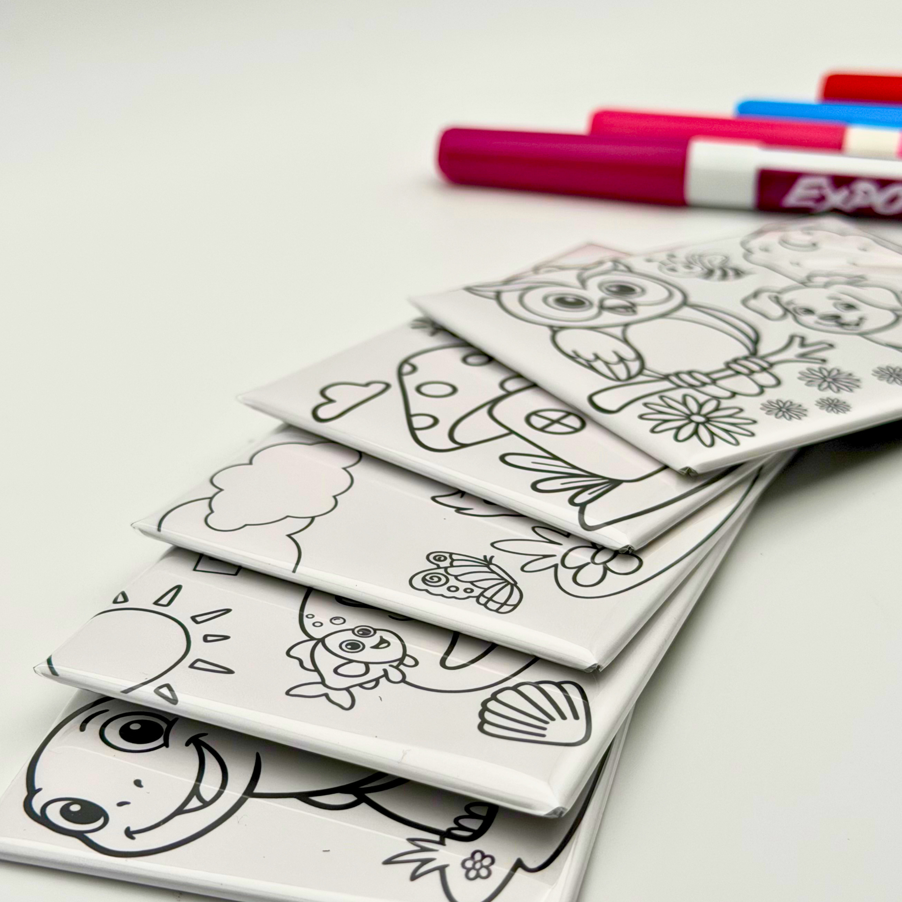 Coloring Magnets, Reusable, Set of 5, ANIMALS