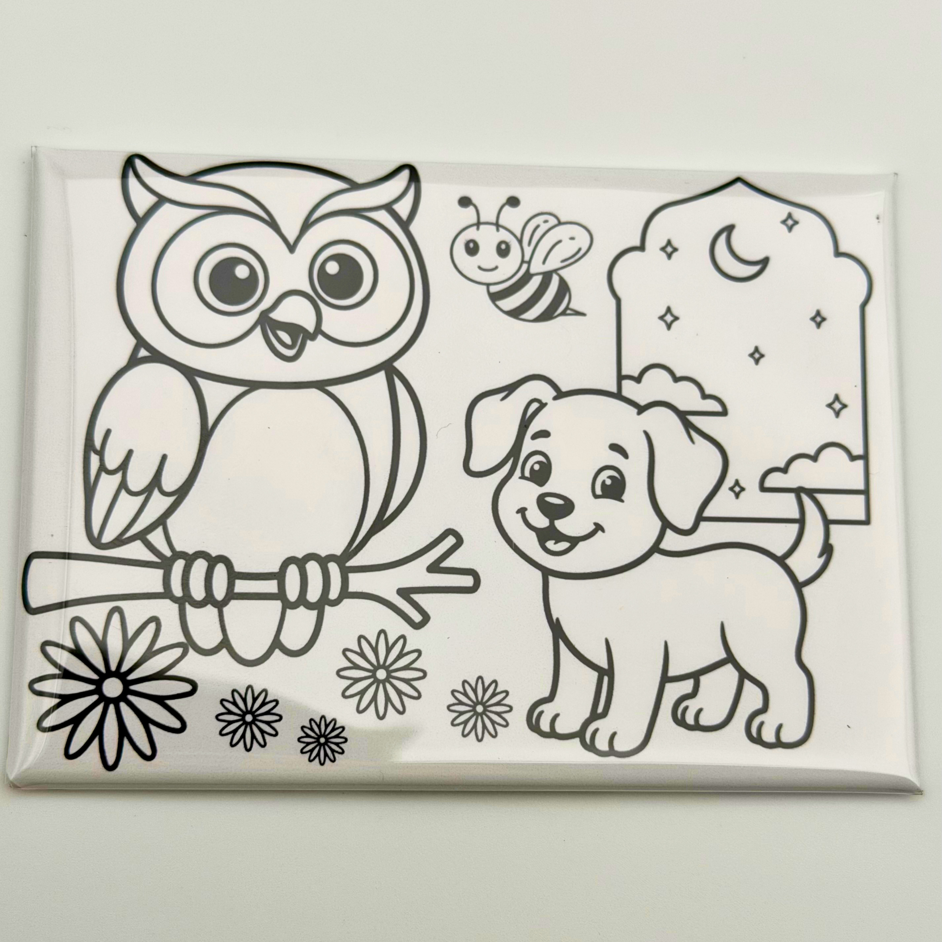 Coloring Magnets, Reusable, Set of 5, ANIMALS
